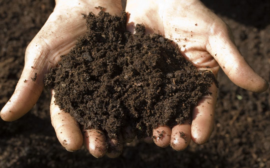 Satish Kumar: The link between soil, soul and society.